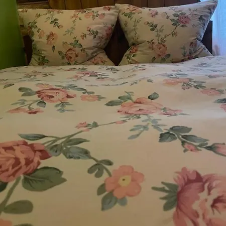 招待所 Skansen Stebuklas