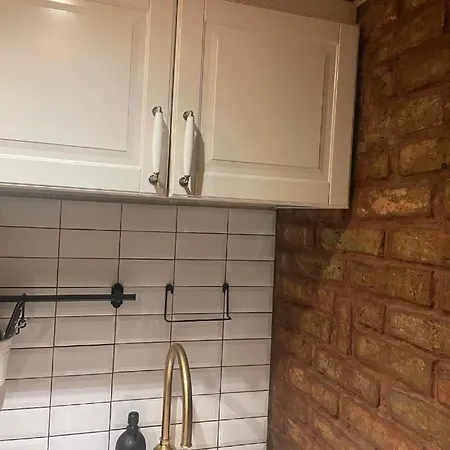 招待所 Skansen Stebuklas *