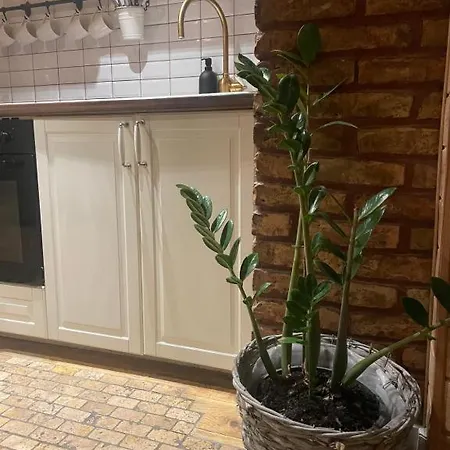 Skansen Stebuklas * 维尔纽斯