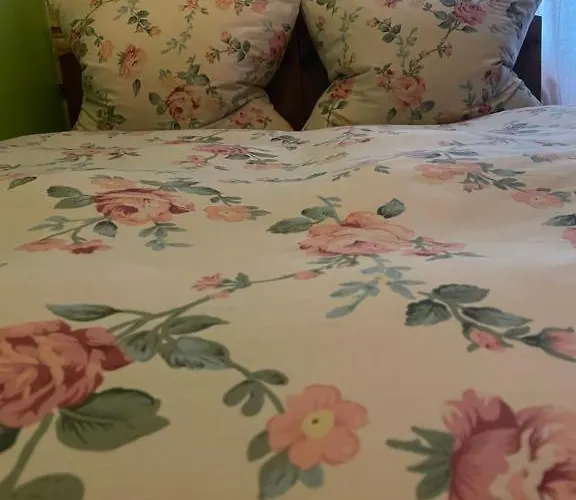 招待所 Skansen Stebuklas