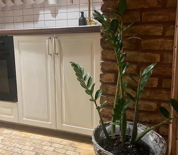 Skansen Stebuklas * Wilna